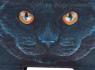 Dámská peněženka s kočkou Lisa Parker Guardian Cat  