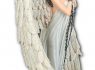 Soška anděl CAPTIVE SPIRITS  