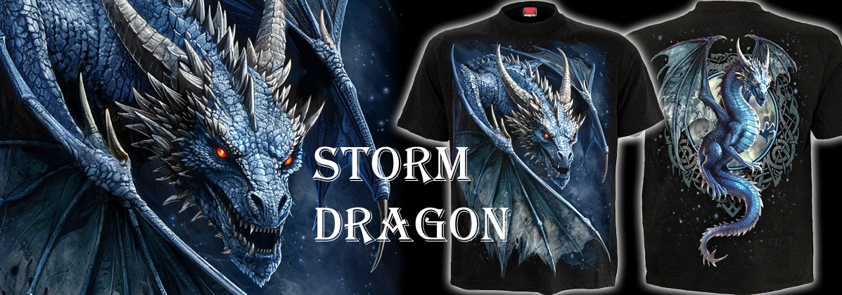 STORM-DRAGON.jpg