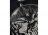 Pánské tričko MOTORHEAD - Warpig Print BR61004  