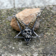Přívěsek chirurgická ocel Baphomet Horned Skull Pentagram BRONZE  