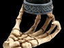 Svícen Skeleton hand  