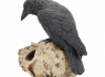 Soška Havran Ravens Remains Soška Havran Ravens Remains