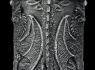 Půllitr korbel (500 ml) Black dragons  