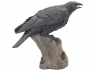 Soška Havran Ravens Cry 35cm  