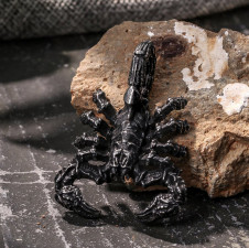 Přívěsek chirurgická ocel ŠKORPIÓN