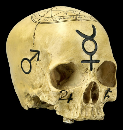 Lebka Magic skull 2  
