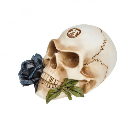 Dekorace na zeď Alchemy Gothic - Black Rose Alchemist Skull  