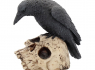 Soška Havran Ravens Remains Soška Havran Ravens Remains