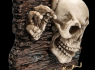 Věšák na klíče Lebka - Skeleton  
