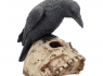 Soška Havran Ravens Remains Soška Havran Ravens Remains