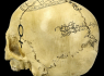 Lebka Magic skull 2  