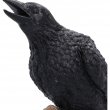 Soška Havran Raven’s Caw 26 cm  