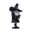 Figurka čarodějka Hexara Figurka čarodějka Hexara