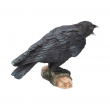 Soška Havran Raven's Call  