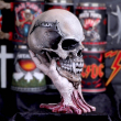 Dekorace lebka METALLICA Sad But True Skull 22cm  