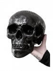 Velká lebka KILLSTAR Nephilim Resin Skull KSRA000207  