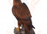 Figurka Orel skalní Golden Eagle  