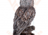 Figurka Sova PUŠTÍK VOUSATÝ - Great Grey Owl standing VELKÝ  