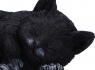 Soška spící kočka Feline Dream  