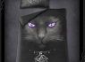  Povlečení Spiral Direct Black Cat  