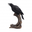 Soška Havran Raven’s Caw 26 cm  