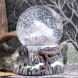 Těžítko - sněžítko - VLK Guardian of the North Snowglobe  