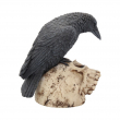Soška Havran Ravens Remains Soška Havran Ravens Remains