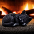 Soška spící kočka Feline Dream Soška spící kočka Feline Dream