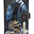 Dámská peněženka s kočkou Lisa Parker Spirits of Salem  