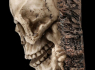 Věšák na klíče Lebka - Skeleton  