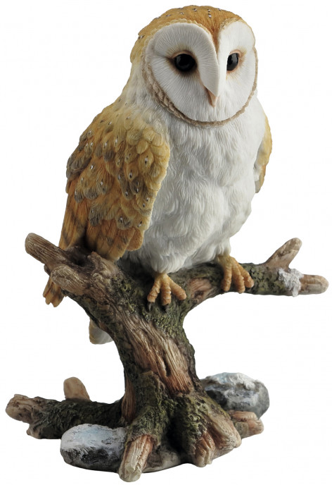 Figurka Sova Barn Owl perching on branch  
