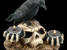 Svícen s havranem The raven's dark light  