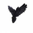 Soška na zeď - Havran Flight of the Raven  