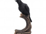 Soška Havran Raven’s Caw 26 cm  