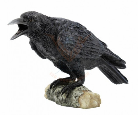 Soška Havran Black raven croaking on  
