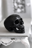 Velká lebka KILLSTAR Nephilim Resin Skull KSRA000207  