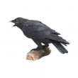 Soška Havran Raven's Call  