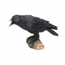 Soška Havran Raven's Call