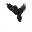 Soška na zeď - Havran Flight of the Raven  