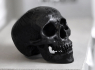 Velká lebka KILLSTAR Nephilim Resin Skull KSRA000207  