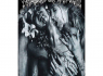 Vlajka Cradle Of Filth - Principle Of Evil Made Flesh  