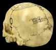 Lebka Magic skull 2  