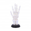 Šperkovnice Ruka kostry Skeletal Palmistry  