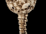Kalich pohár Skull goblet  