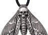 Přívěsek chirurgická ocel MOTÝL SMRTIHLAV Death Head Moth  