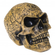 Lebka Alchemy Gothic - Omega Skull