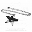 Přívěsek Alchemy Gothic - Havran pentagram Ghost-seer  