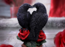 Soška Havran Raven Romance  