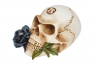 Dekorace na zeď Alchemy Gothic - Black Rose Alchemist Skull  